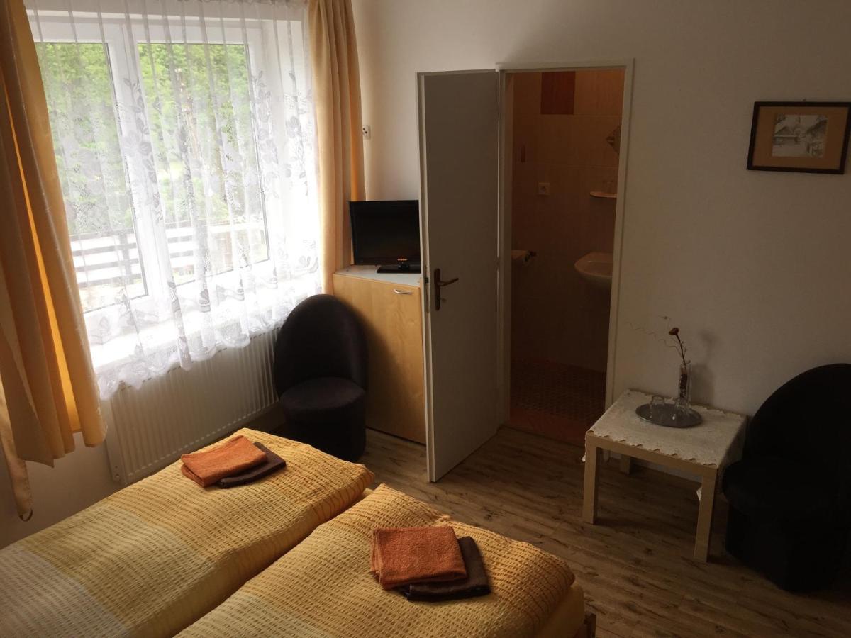 Penzion Rozkvet - Housity