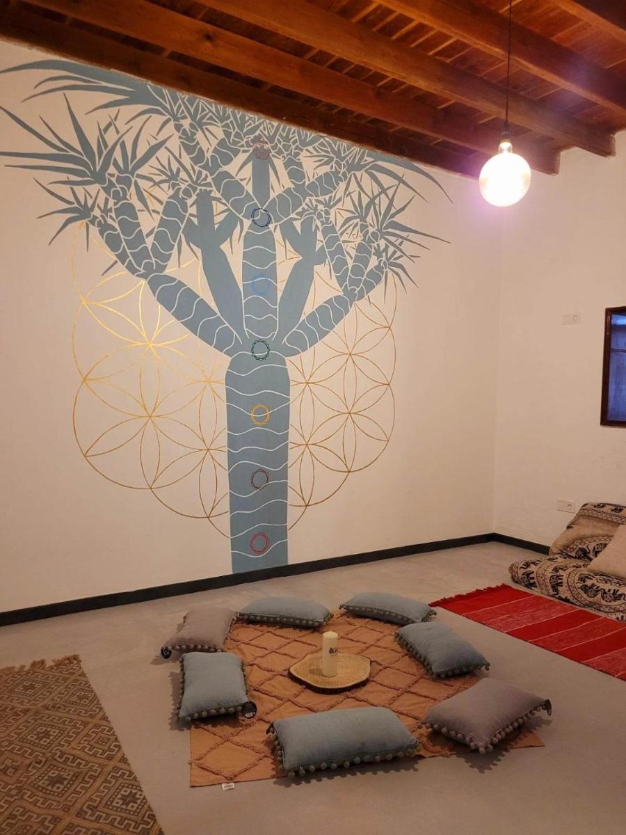 Acoran Family Ocean View Guest House With Daily Yoga Practice Included North Gran Canaria PRIVATE ROOM PET FRIENDLY - Housity