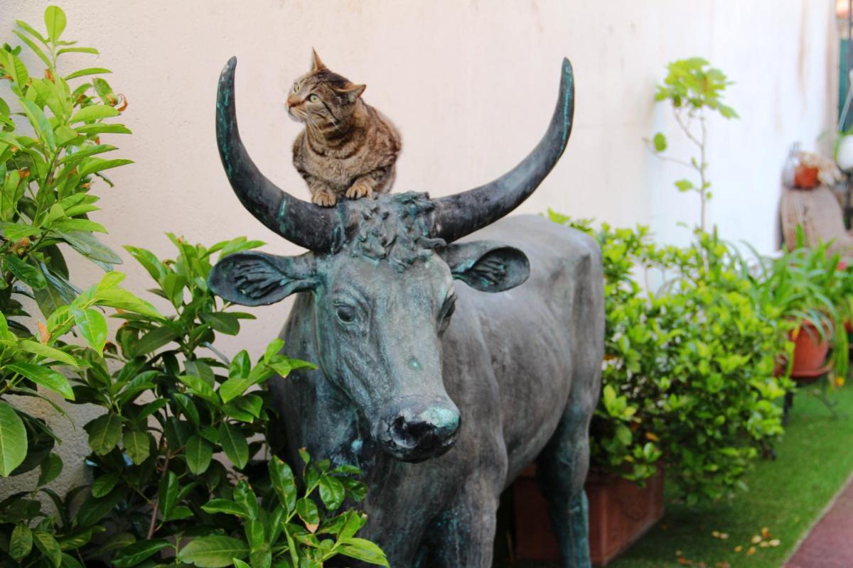 Villa Mon Rêve Apartements - Housity