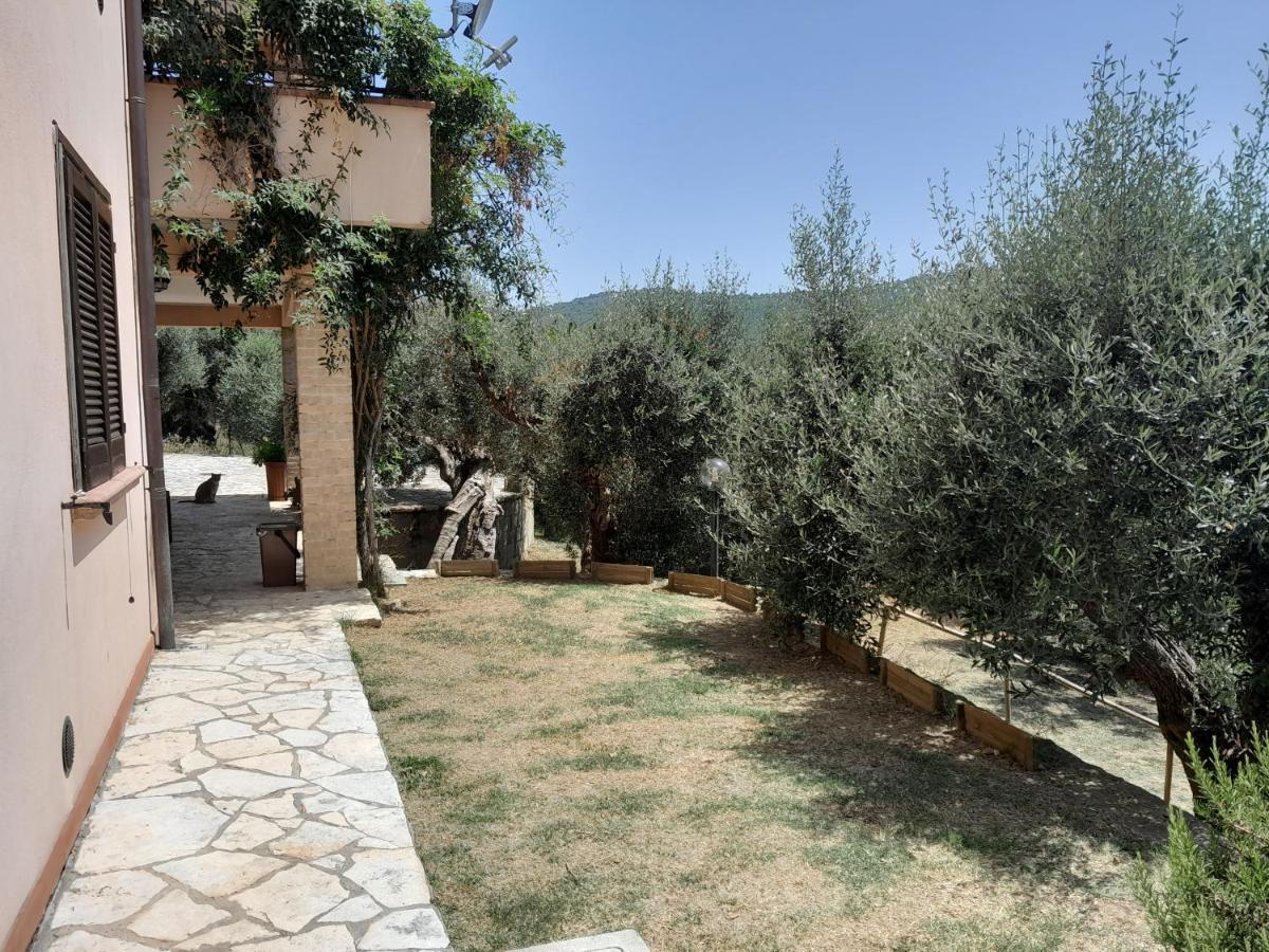 I Gufetti - Housity