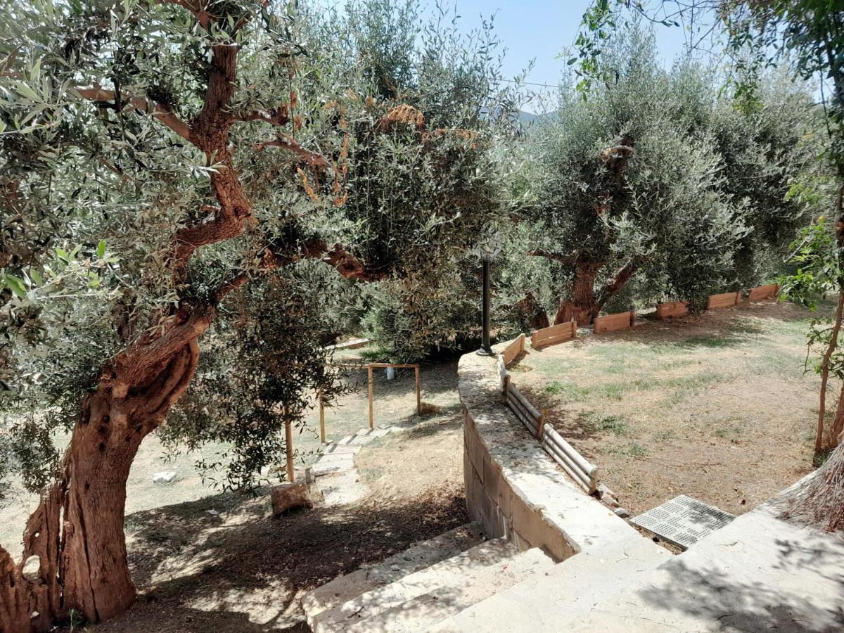 I Gufetti - Housity