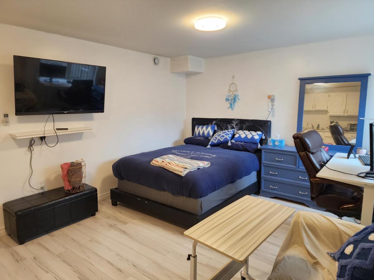 small cute basement unit - Housity