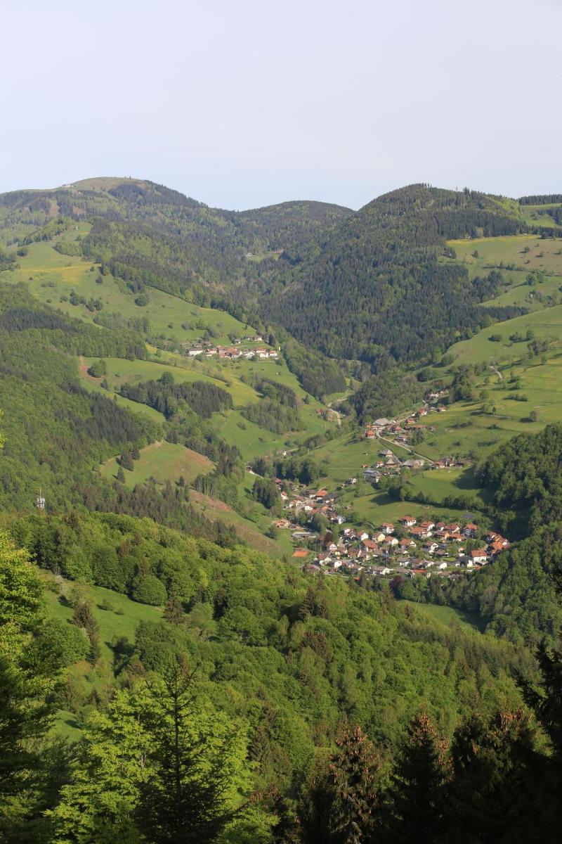 Suitetrails - Hotel Kirchbühl