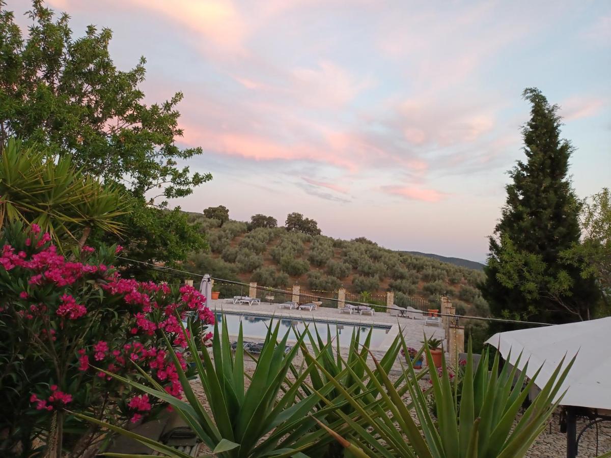 Hacienda la buena vida B&B en appartementen - Housity