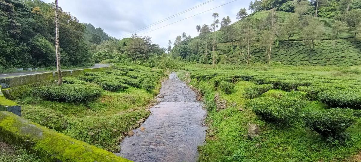 VGB COUNTRY HOUSE - Housity