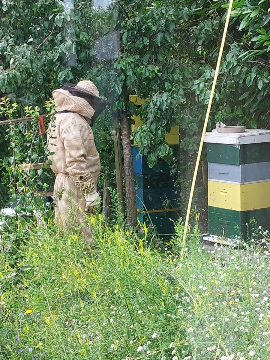 Logeerruimte in gerenoveerde boerderij in Wachtum - Housity