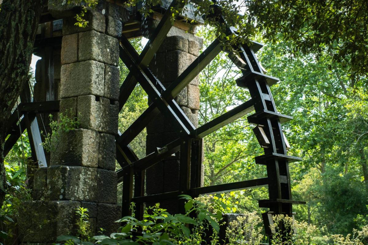 Um jardim no exterior de Hotel Do Parque - Congress & SPA