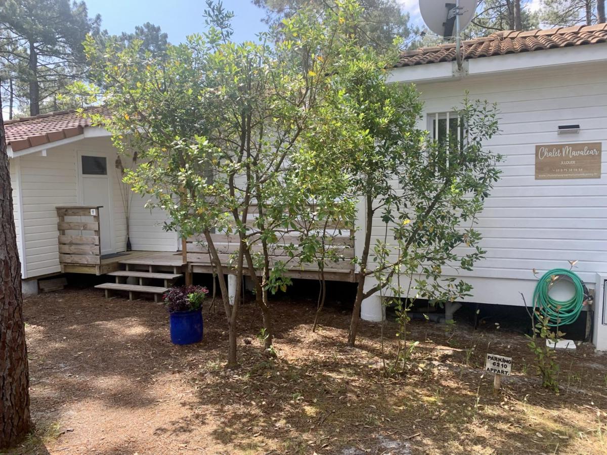 Chalet Mavalear naturiste La Jenny - Housity
