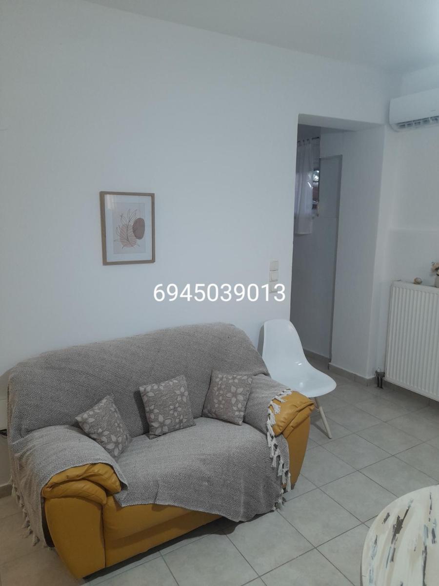 Sofia - Housity