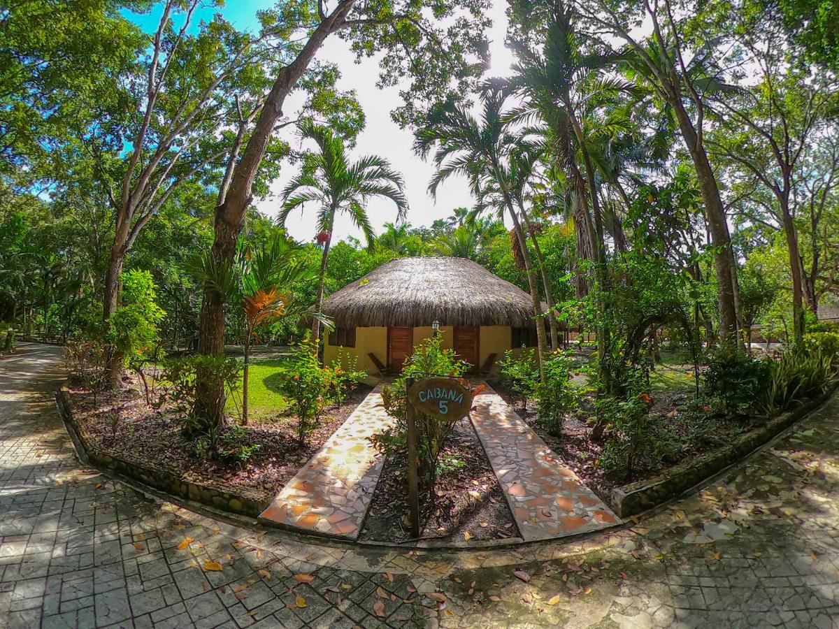 The Mayan Garden - Housity