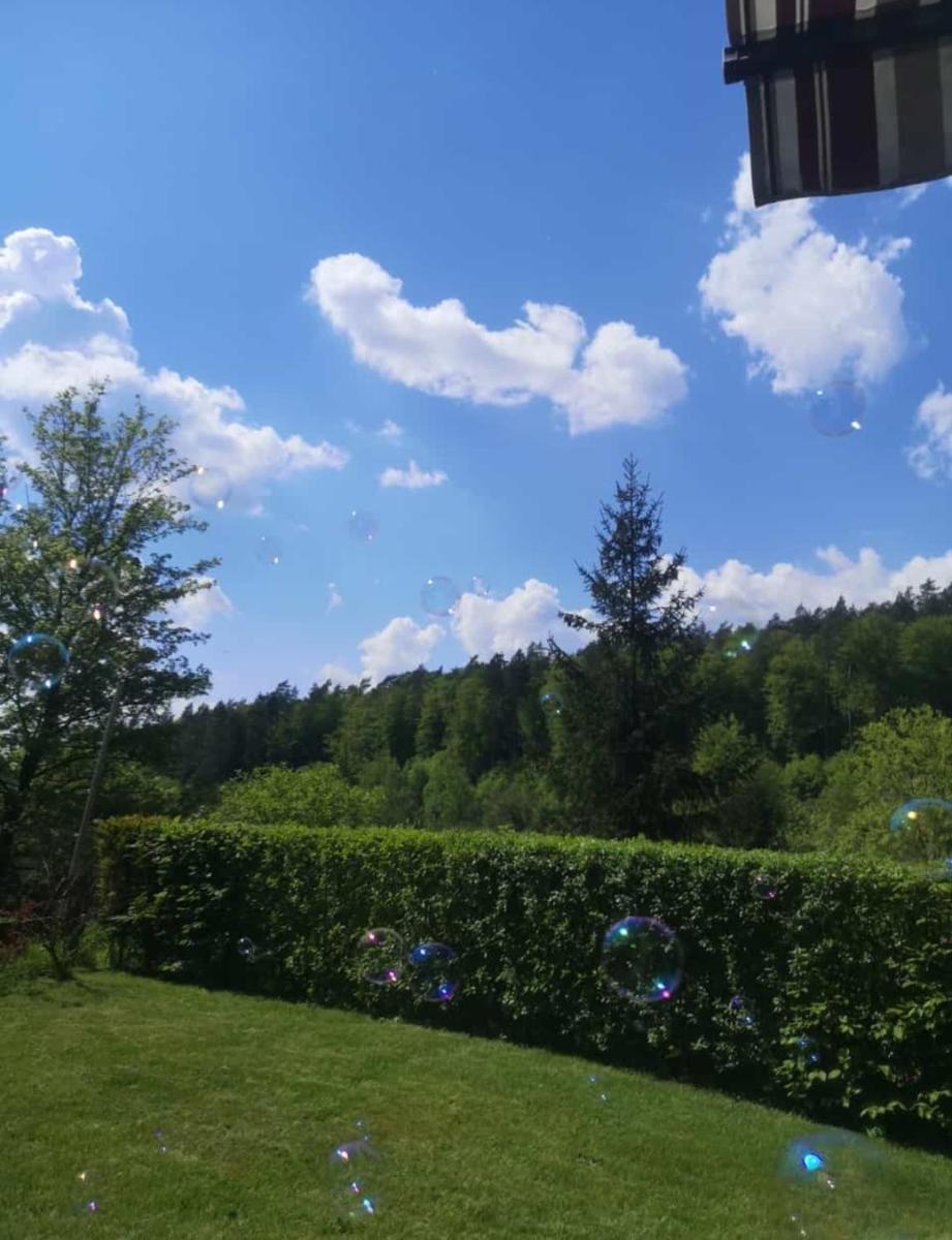Ferienhaus am Wald - Housity