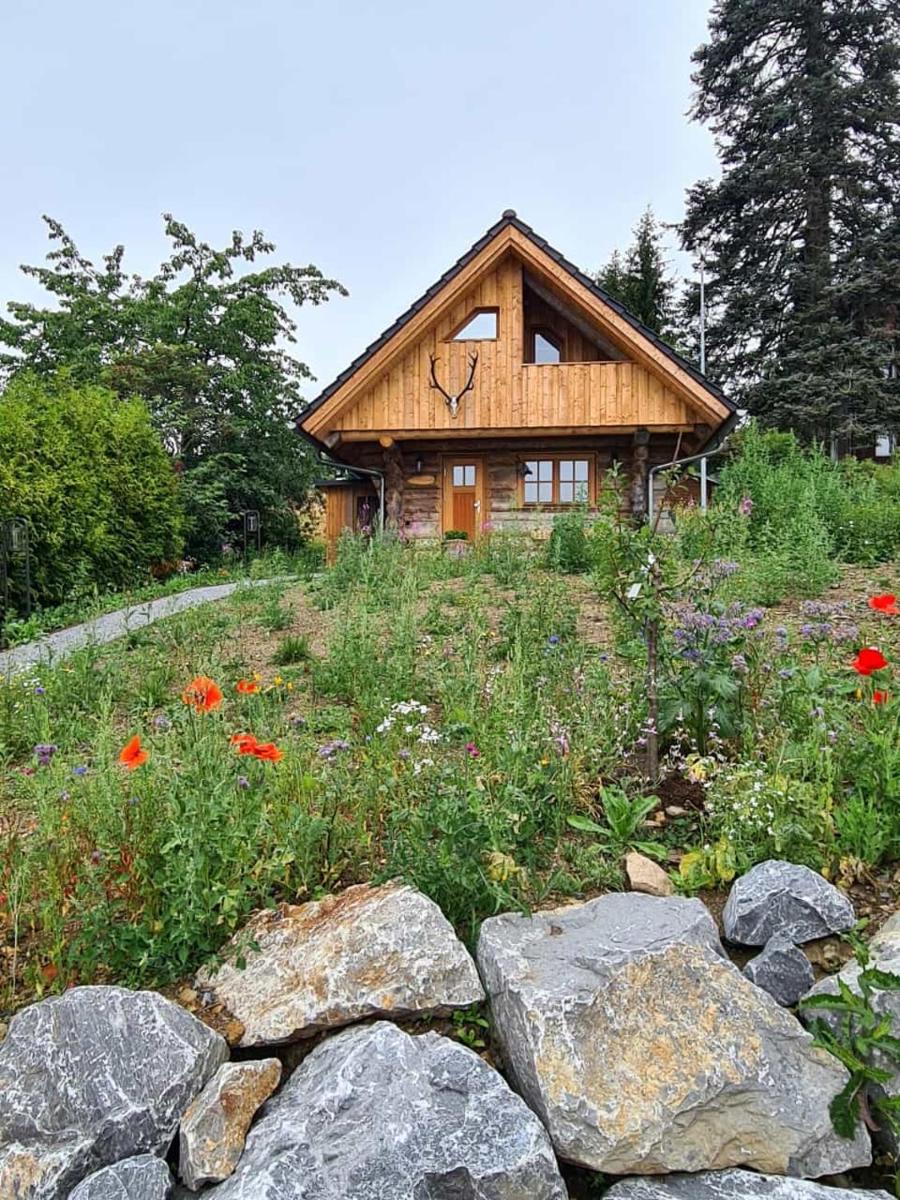 Blockhaus PanHütte - Housity