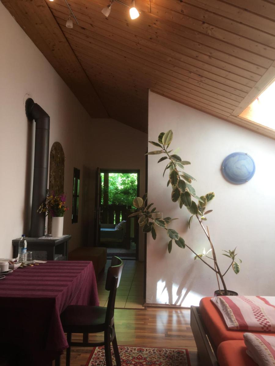 Pension Zur Freiheit - Housity