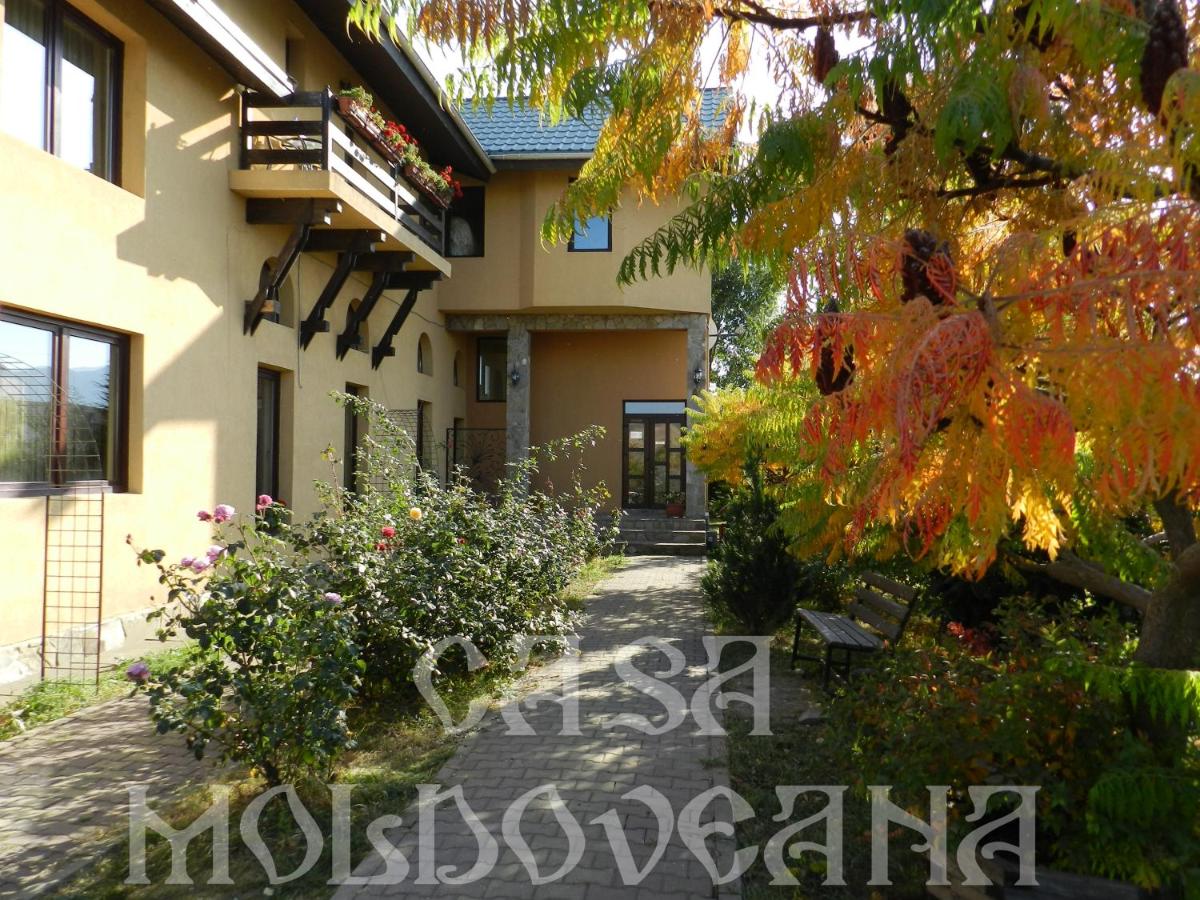 Pensiunea CASA MOLDOVEANA - Housity