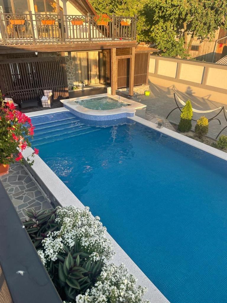 Guesthouse Viktoria Pensiune - Hizvo