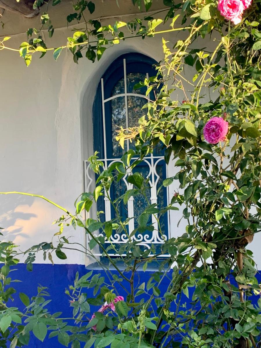 Dar Garindi - Housity