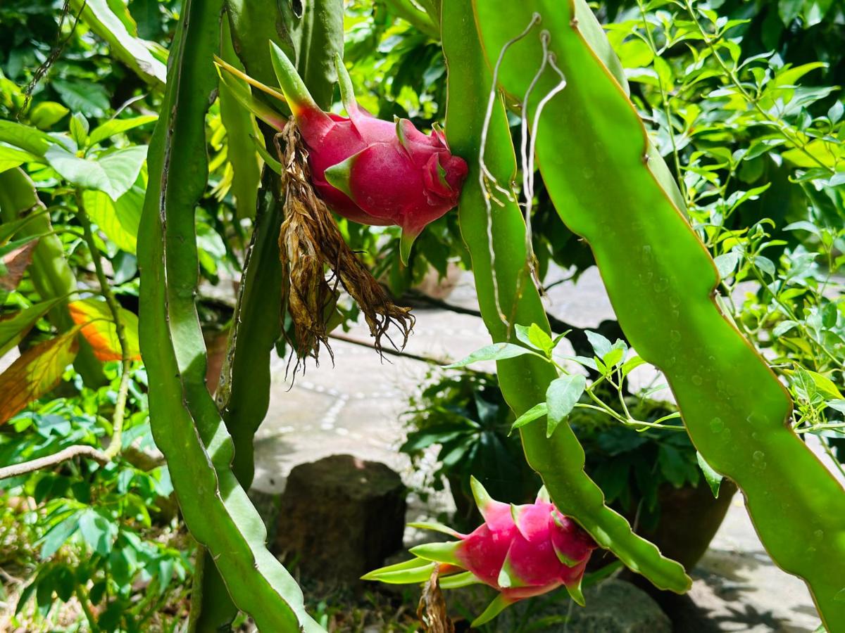Do River Homestay - Housity