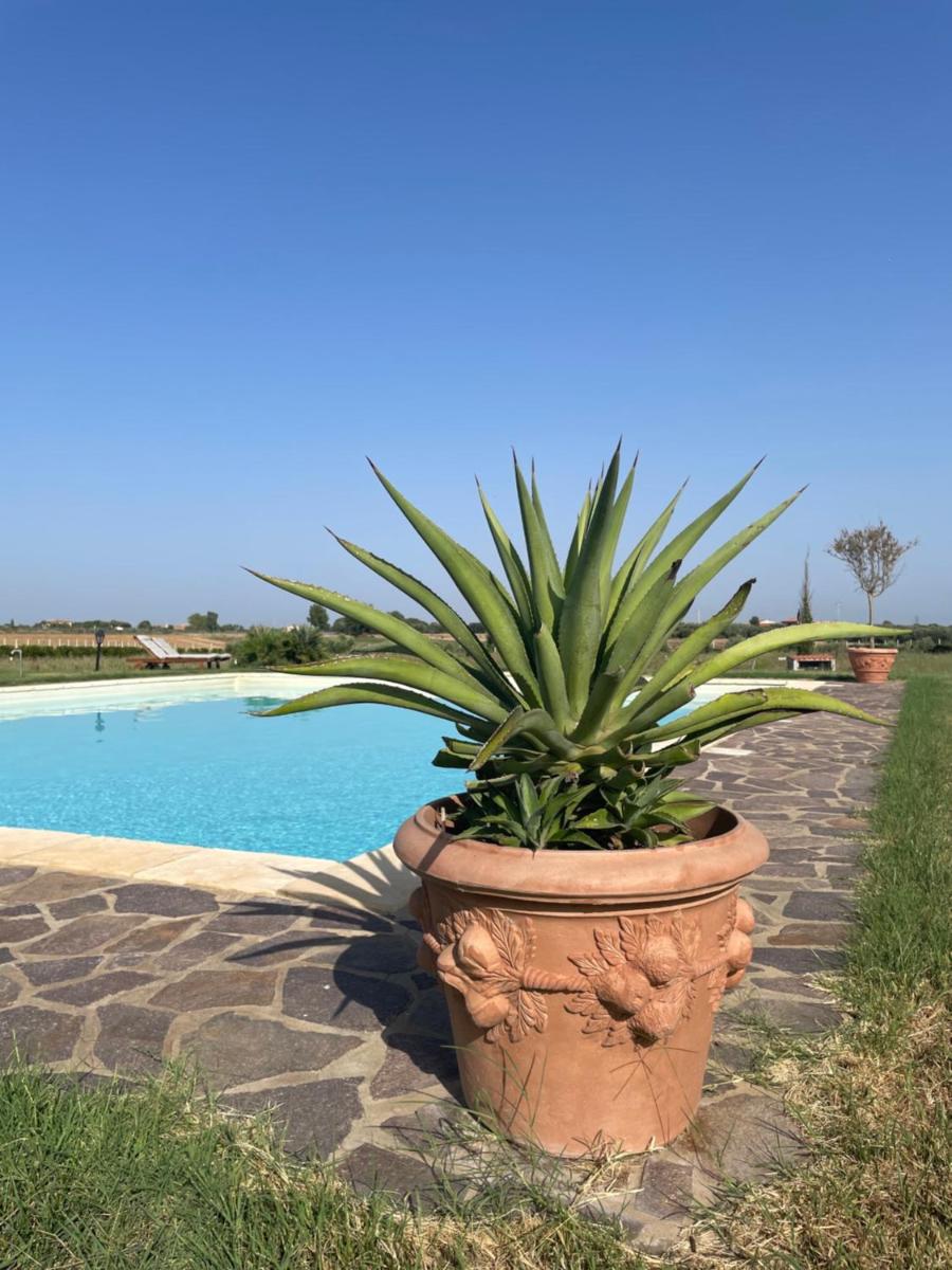 THE RANCH Apartment 4 Capalbio - Housity