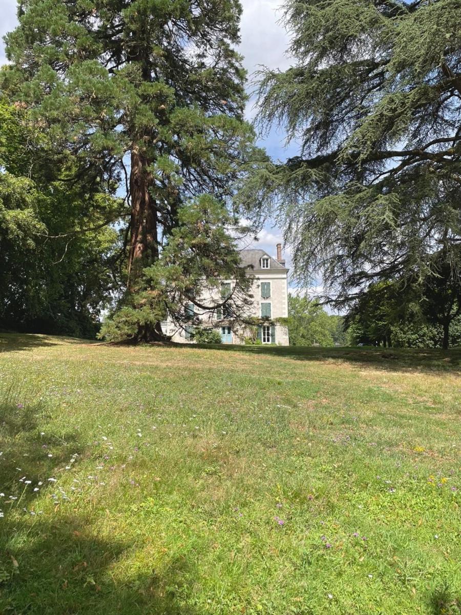 Entre les branches - Housity