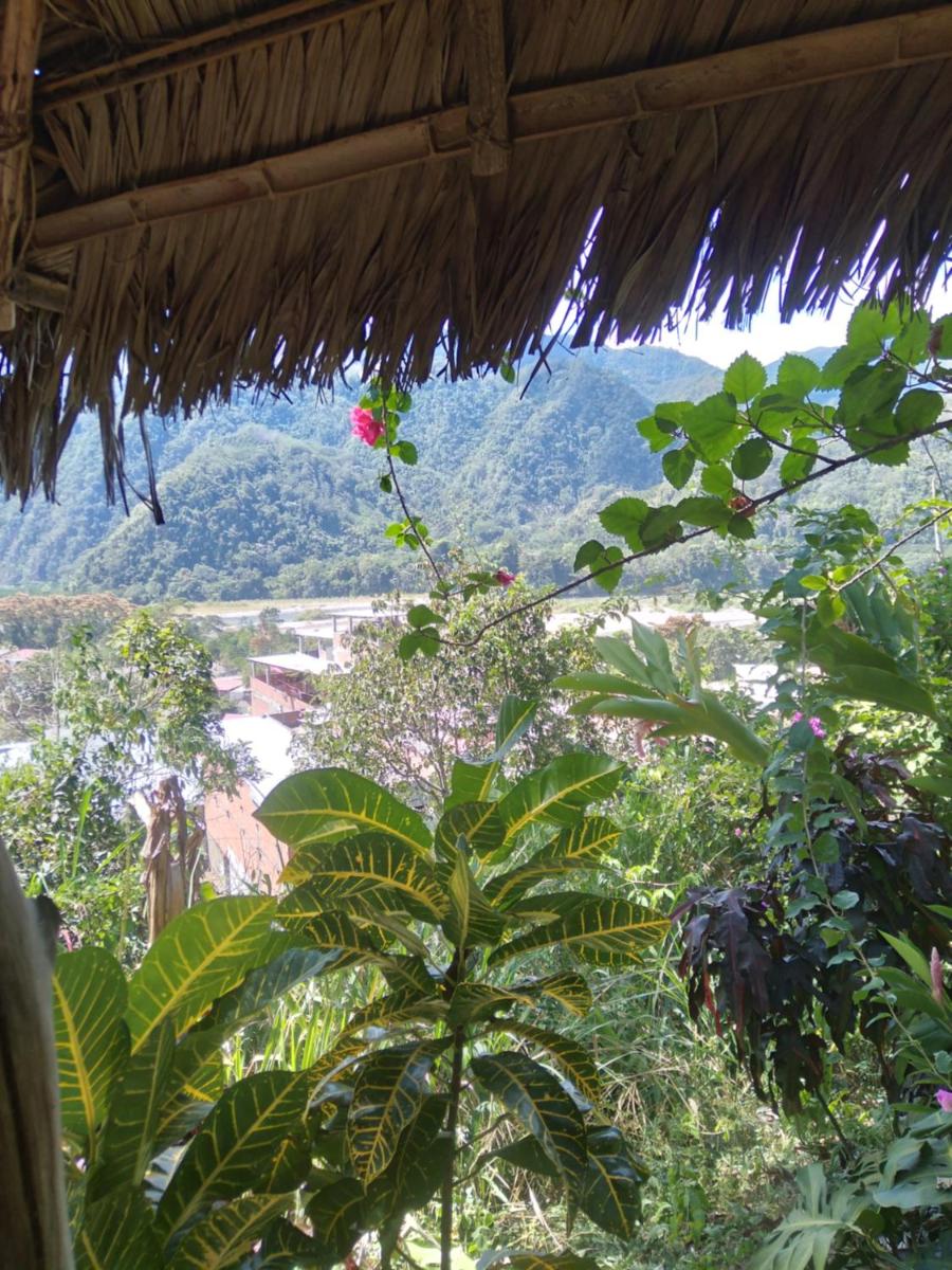 Cloud forest SAN CARLOS - Housity