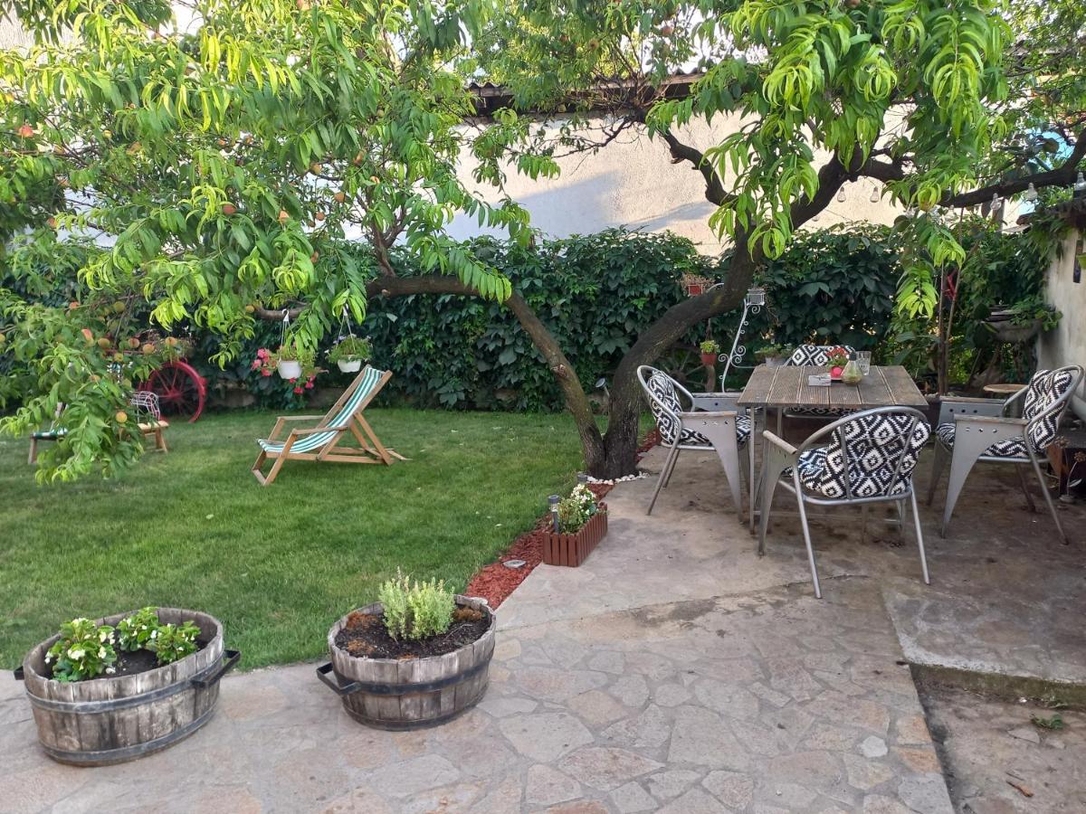 Oskar apartman Negotin - Housity
