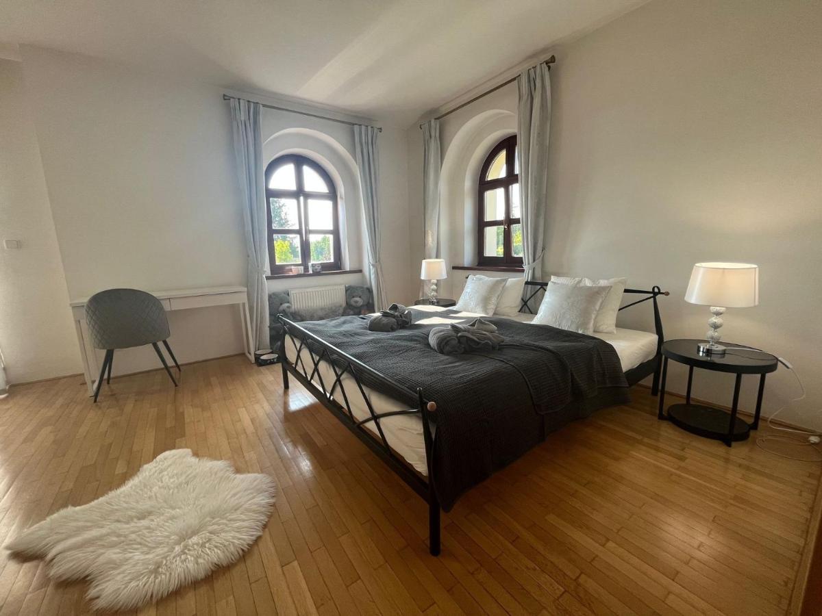 Dogs Resort and Spa - Housity