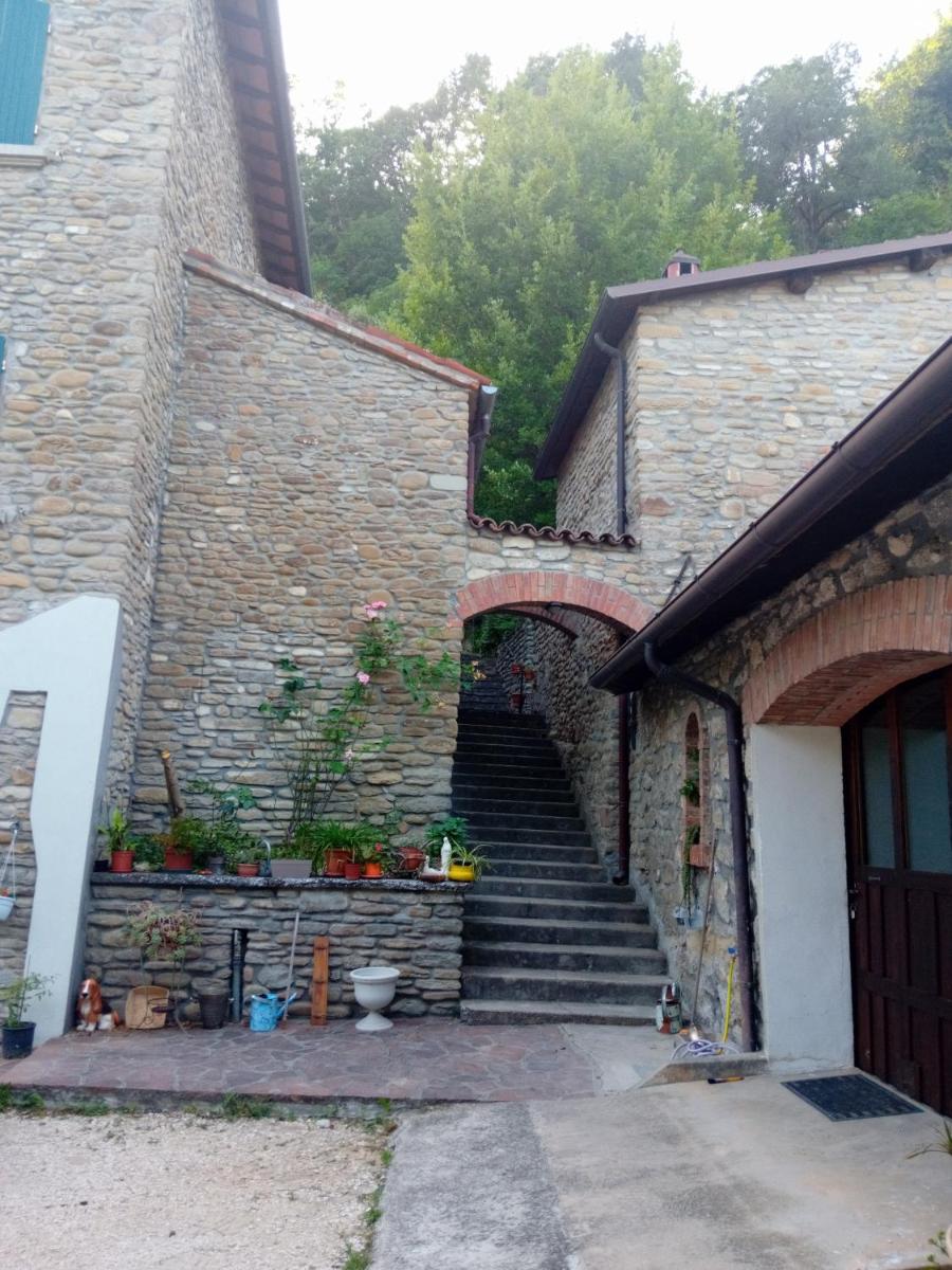 B&B BORGORI' - Housity