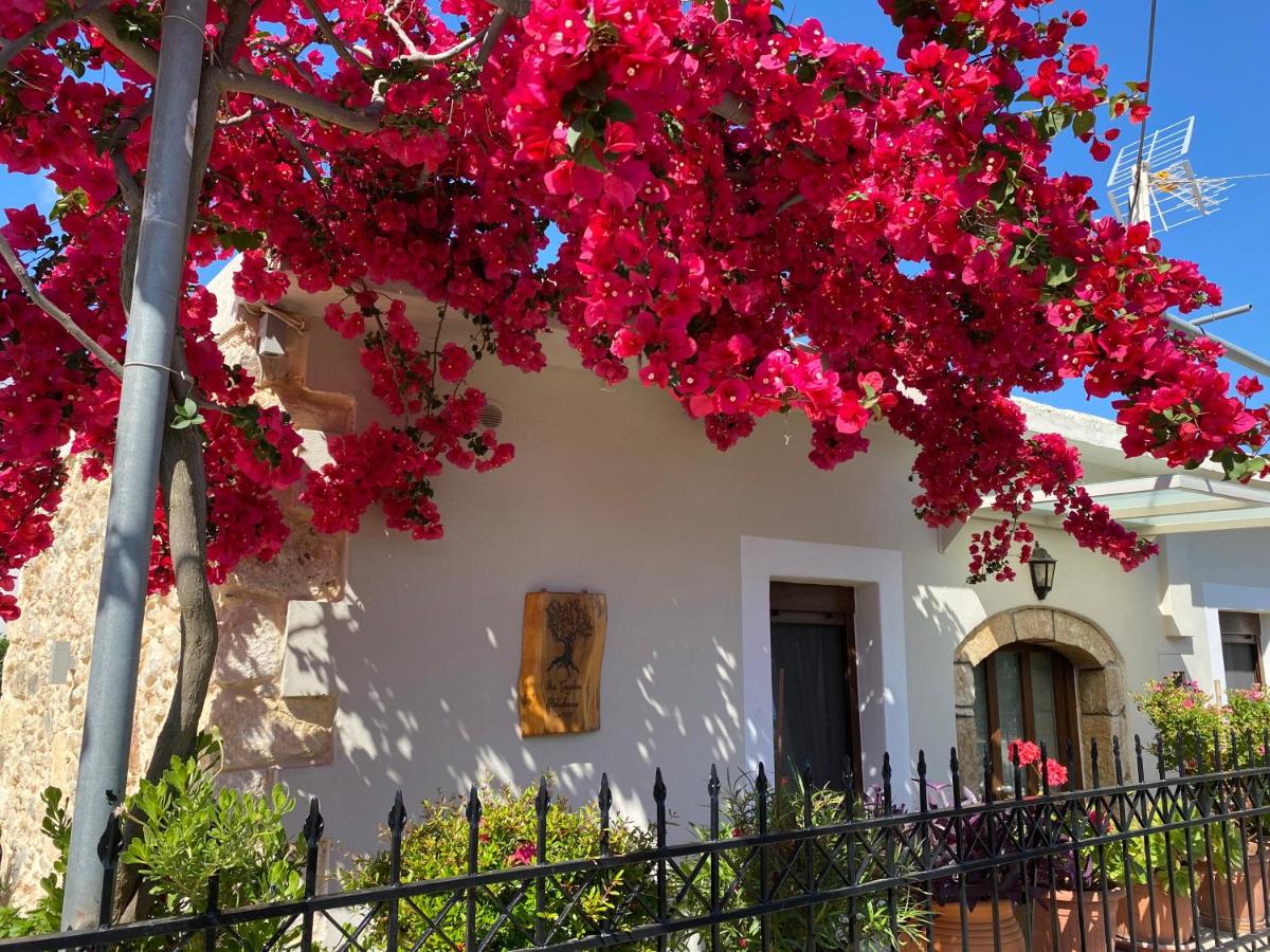 BIO Garden Stonehouse - Housity