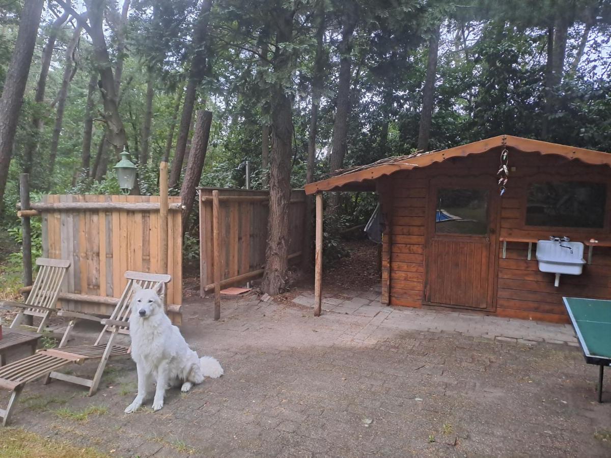 Boomhut - Housity