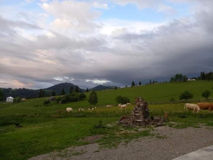 Suitetrails - CASA LENA -VATRA DORNEI