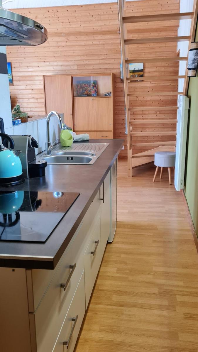 JOLI APPARTEMENT AVEC JARDIN - Housity