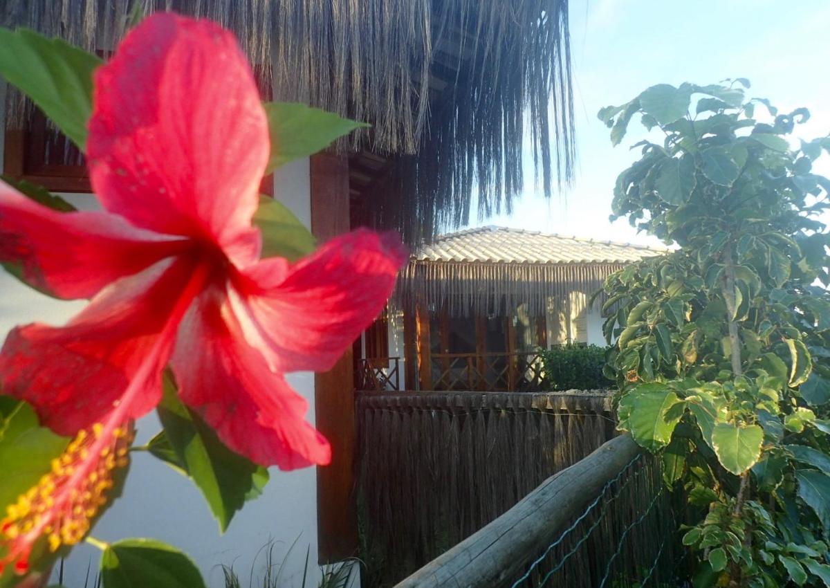 Luar do Leão Bungalow - Housity