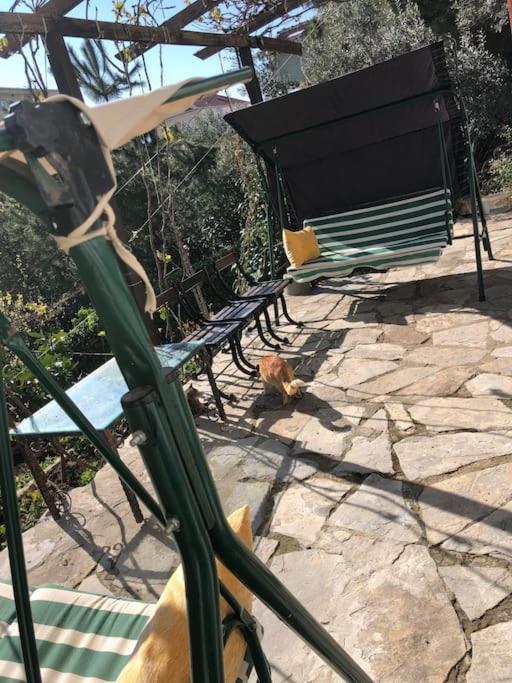 Yazlık bahçe katı daire - Housity