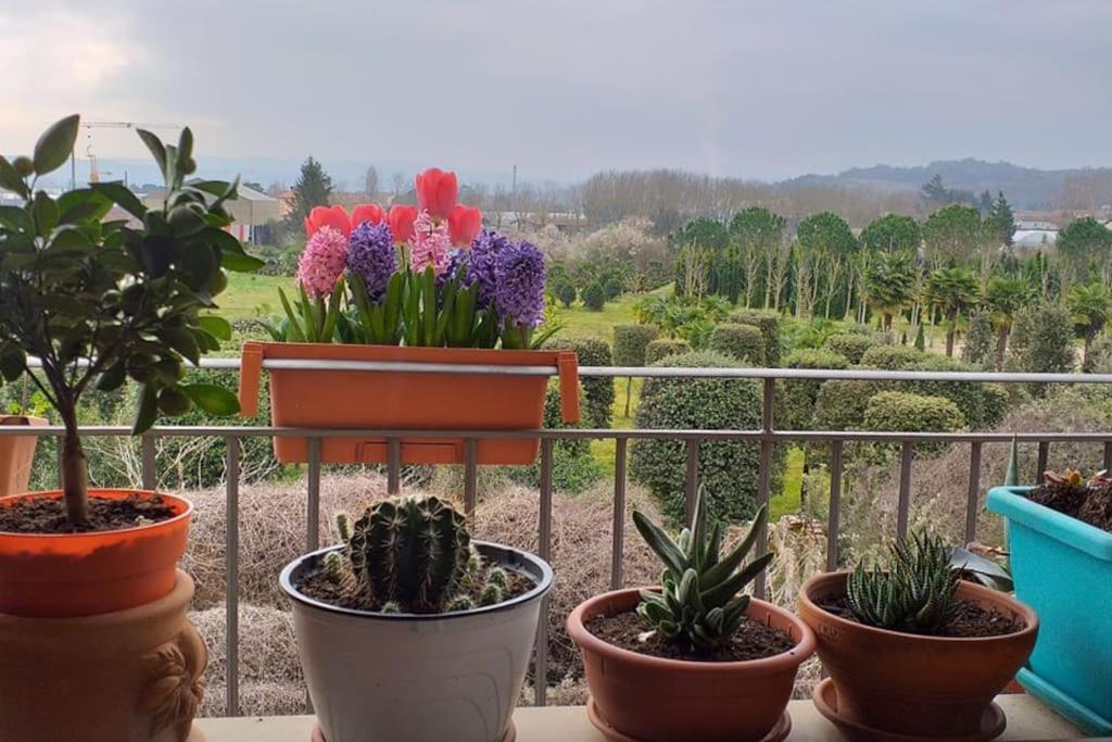 La casa dell'Adri B&B con camino - Housity