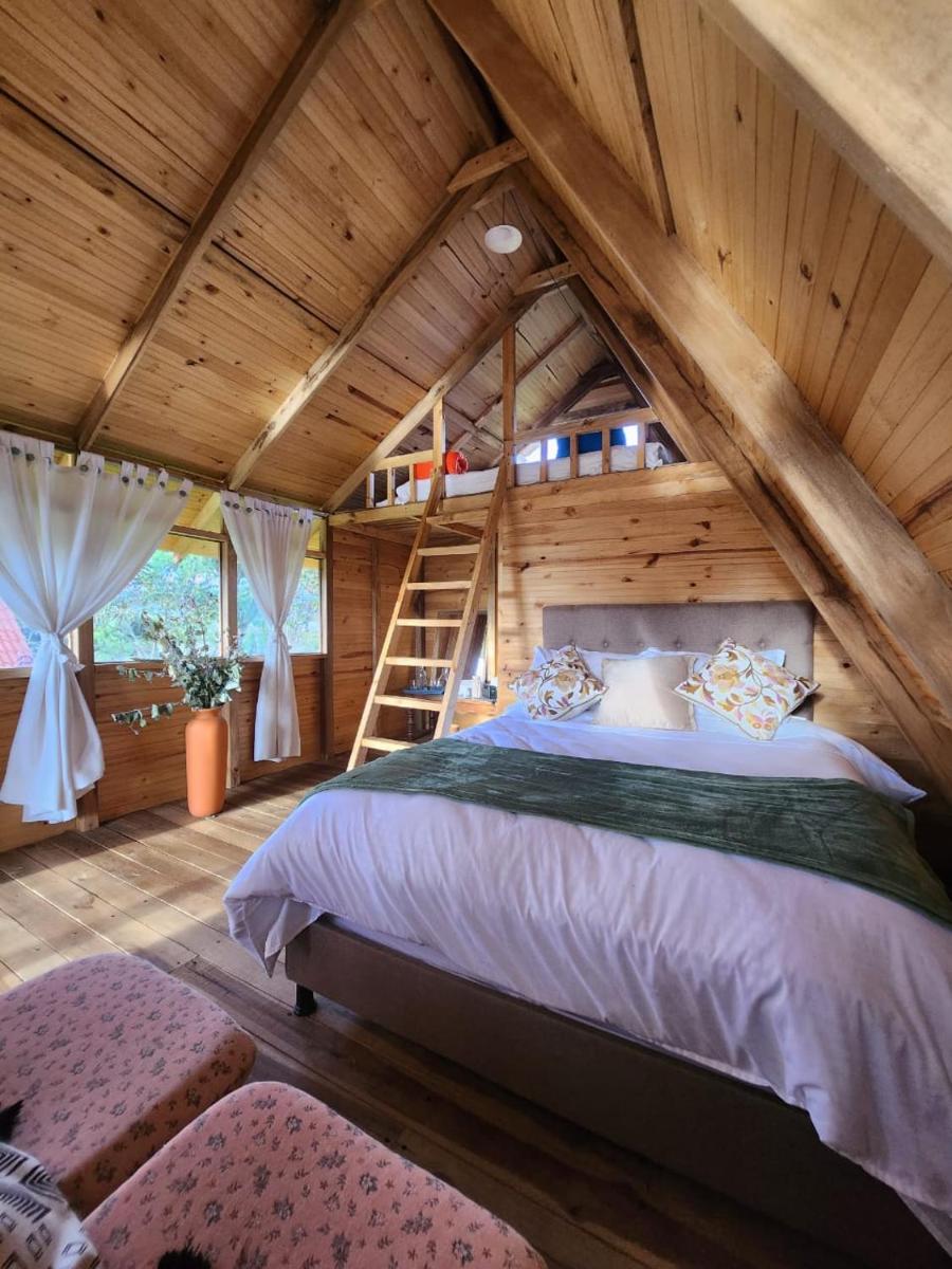Glamping El Muelle - Housity