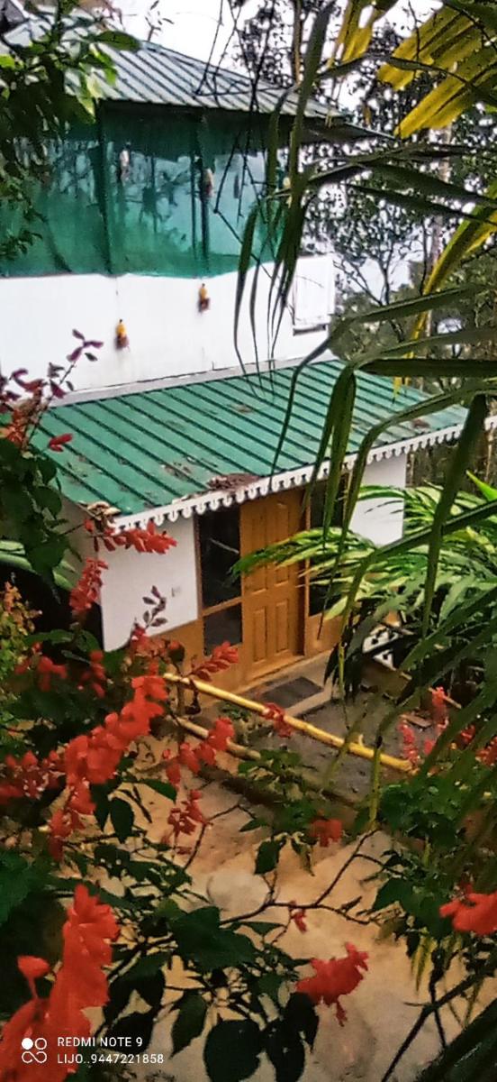 Munnar TeaDrops Plantation Villa - Housity