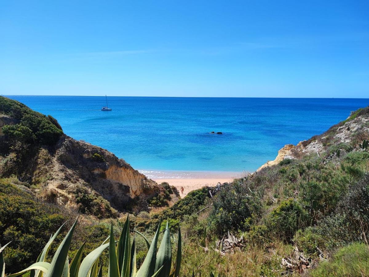 Aldeamento Praia dos Beijinhos - Housity