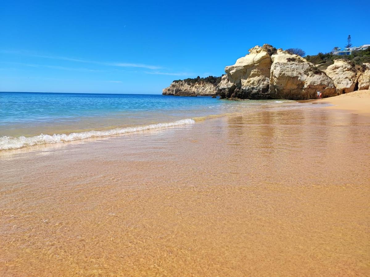 Aldeamento Praia dos Beijinhos - Housity