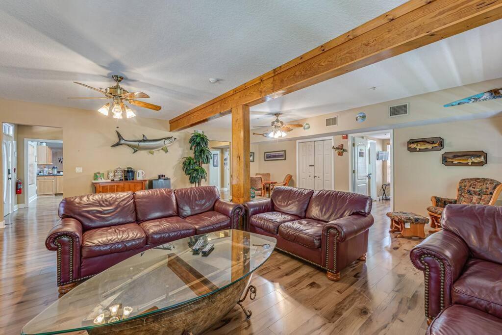 Entire Boutique Hotel walking distance to river - Housity