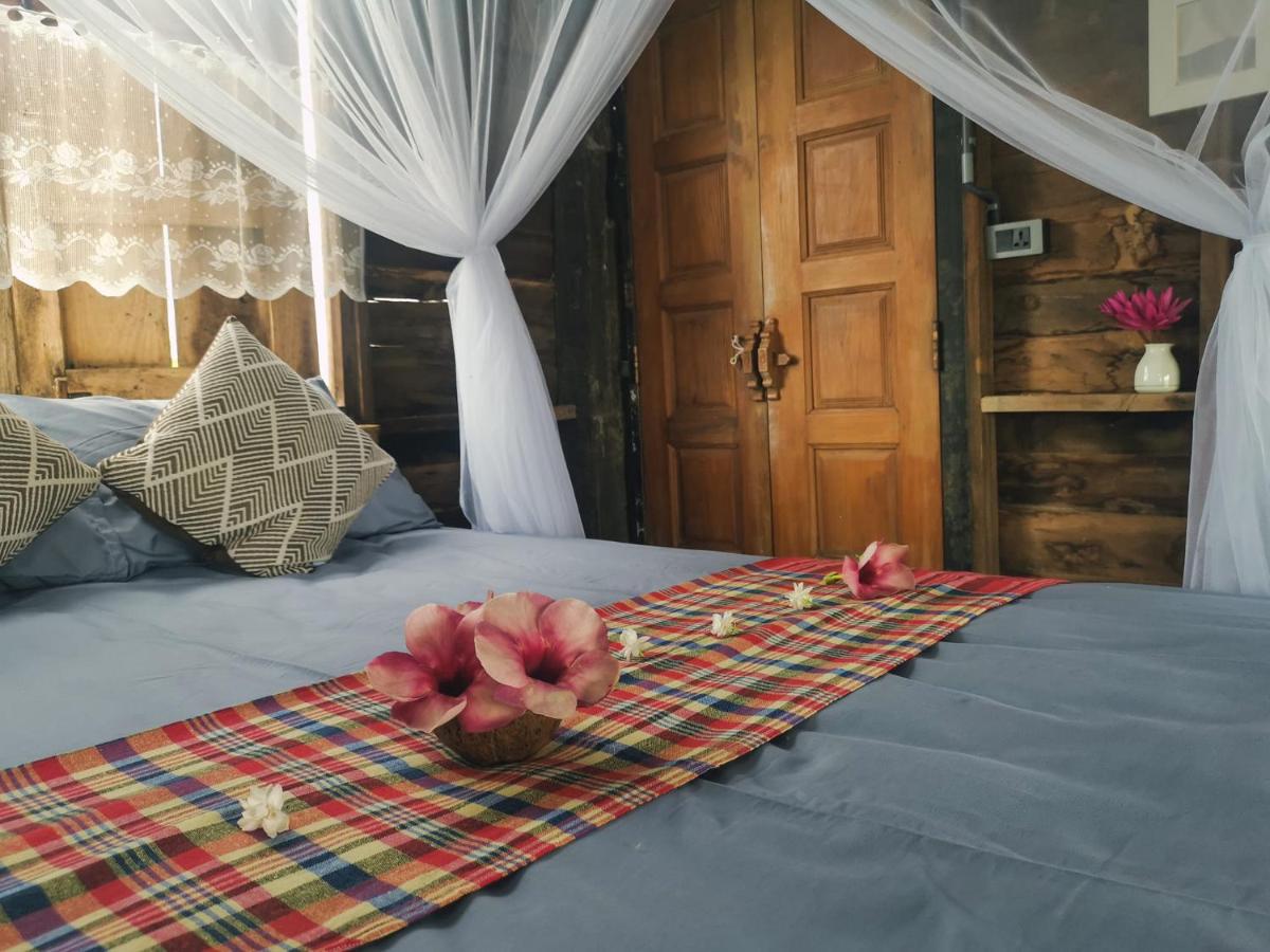 ฟาร์มสเตย์ไร่คืนรัง - RKR Farmstay - Housity