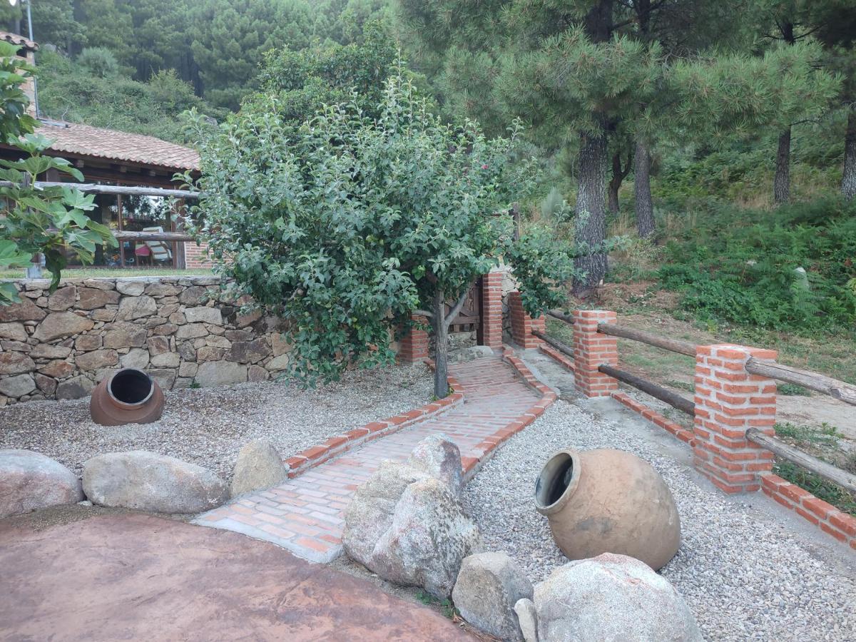 Casa Rural Refugio Los Perdigones - Housity