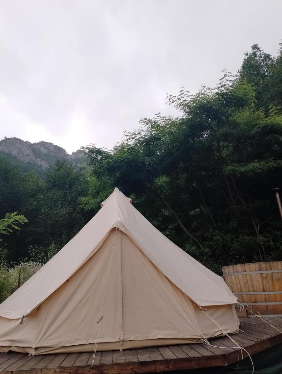 Tiny House Village Resort - Housity