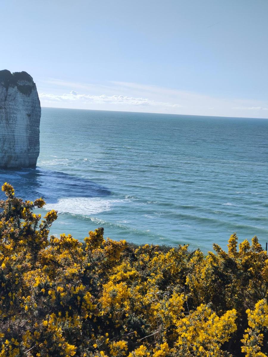 Roulotte-Cabane de la Vallette - Housity