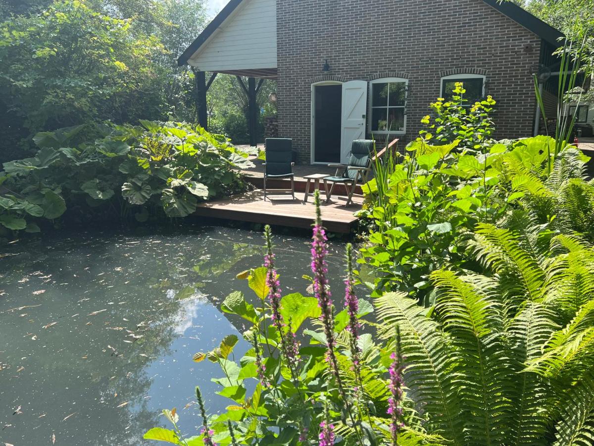 B&B Lekkerkerk - Housity