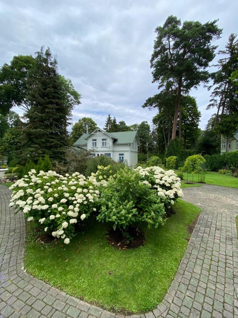 Jurmala vacation house - Housity