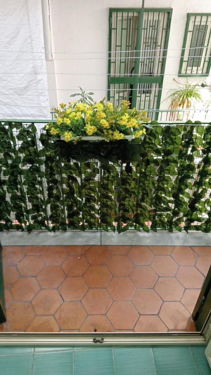 la casa di Mau - Housity