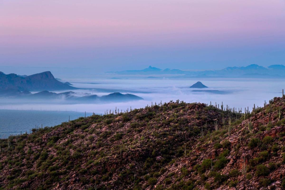 The Ritz-Carlton, Dove Mountain - Housity