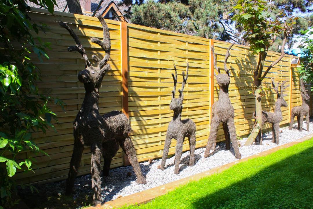 Animaux dans l'appart'hôtel ou à proximité
