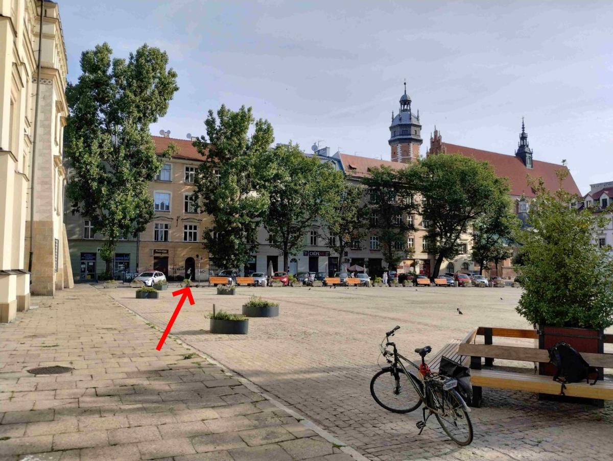 Old Town-Kazimierz-Wolnica KK - Housity
