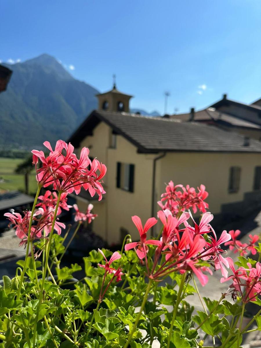 Sotto al Bosco B&B e Azienda Agricola - Housity